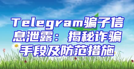 Telegram骗子信息泄露：揭秘诈骗手段及防范措施