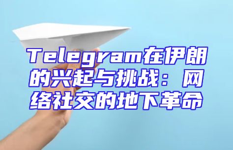 Telegram在伊朗的兴起与挑战：网络社交的地下革命