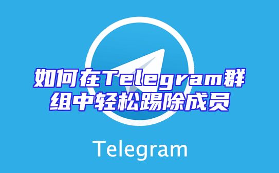 如何在Telegram群组中轻松踢除成员