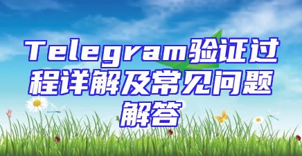 Telegram验证过程详解及常见问题解答