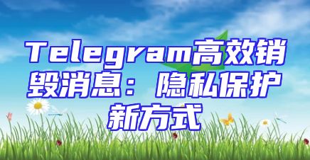 Telegram高效销毁消息：隐私保护新方式