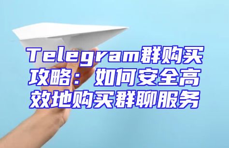 Telegram群购买攻略：如何安全高效地购买群聊服务