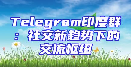 Telegram印度群：社交新趋势下的交流枢纽