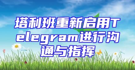 塔利班重新启用Telegram进行沟通与指挥