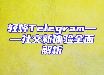 轻蜂Telegram——社交新体验全面解析