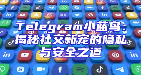 Telegram小蓝鸟：揭秘社交新宠的隐私与安全之道