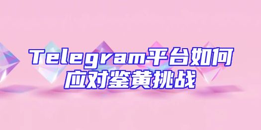 Telegram平台如何应对鉴黄挑战