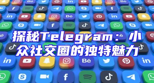 探秘Telegram：小众社交圈的独特魅力