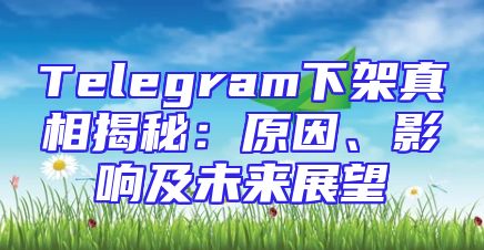 Telegram下架真相揭秘：原因、影响及未来展望