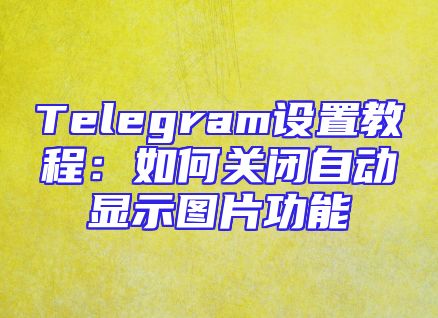 Telegram设置教程：如何关闭自动显示图片功能