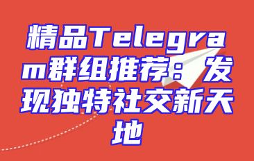 精品Telegram群组推荐：发现独特社交新天地
