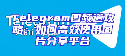 Telegram图频道攻略：如何高效使用图片分享平台