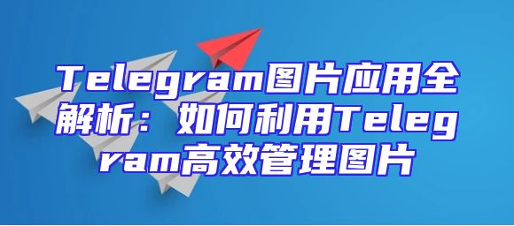 Telegram图片应用全解析：如何利用Telegram高效管理图片