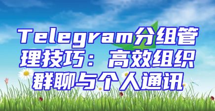Telegram分组管理技巧：高效组织群聊与个人通讯