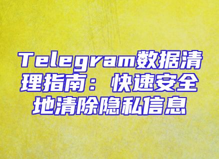 Telegram数据清理指南：快速安全地清除隐私信息