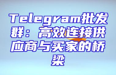 Telegram批发群：高效连接供应商与买家的桥梁