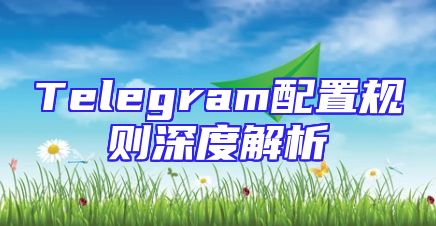 Telegram配置规则深度解析