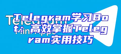 Telegram学习Bot：高效掌握Telegram实用技巧