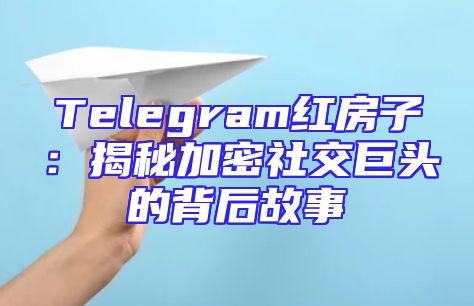 Telegram红房子：揭秘加密社交巨头的背后故事