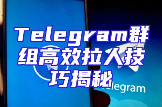 Telegram群组高效拉人技巧揭秘