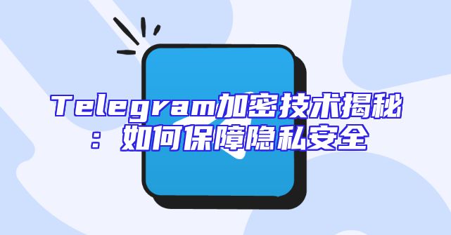 Telegram加密技术揭秘：如何保障隐私安全