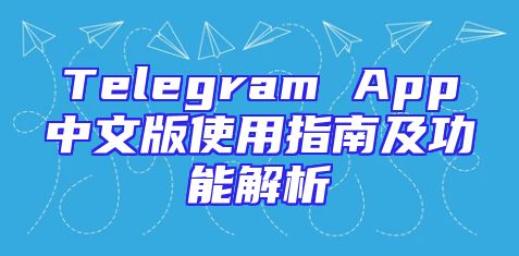 Telegram App中文版使用指南及功能解析