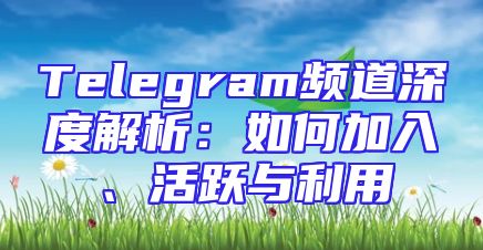 Telegram频道深度解析：如何加入、活跃与利用