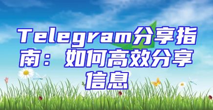 Telegram分享指南：如何高效分享信息