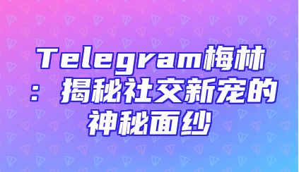 Telegram梅林：揭秘社交新宠的神秘面纱