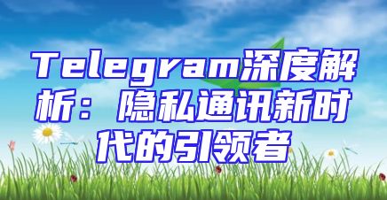 Telegram深度解析：隐私通讯新时代的引领者