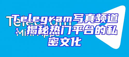 Telegram写真频道：揭秘热门平台的私密文化