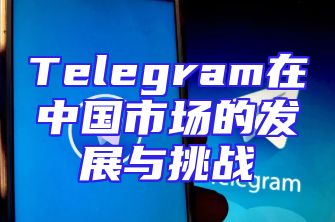 Telegram在中国市场的发展与挑战