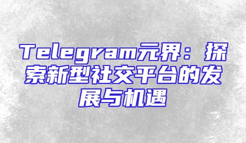 Telegram元界：探索新型社交平台的发展与机遇