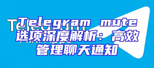 Telegram mute选项深度解析：高效管理聊天通知