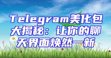 Telegram美化包大揭秘：让你的聊天界面焕然一新