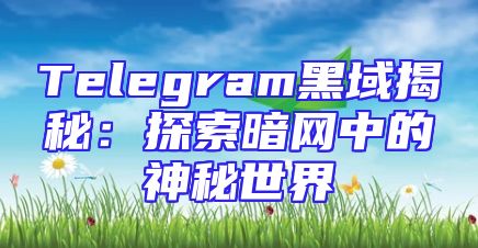 Telegram黑域揭秘：探索暗网中的神秘世界