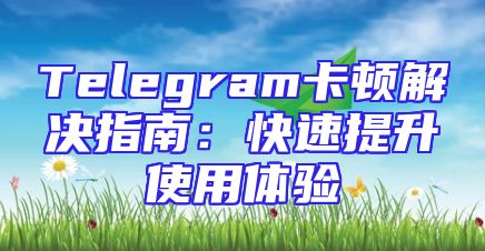 Telegram卡顿解决指南：快速提升使用体验