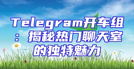 Telegram开车组：揭秘热门聊天室的独特魅力