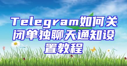 Telegram如何关闭单独聊天通知设置教程