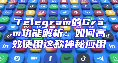 Telegram的Gram功能解析：如何高效使用这款神秘应用