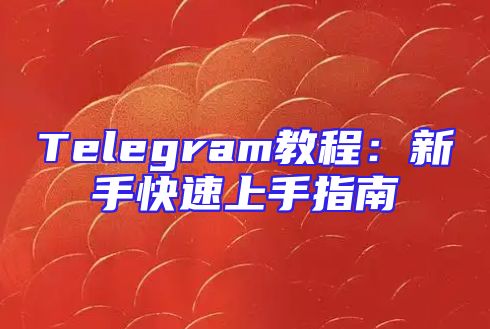 Telegram教程：新手快速上手指南