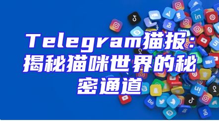 Telegram猫报：揭秘猫咪世界的秘密通道