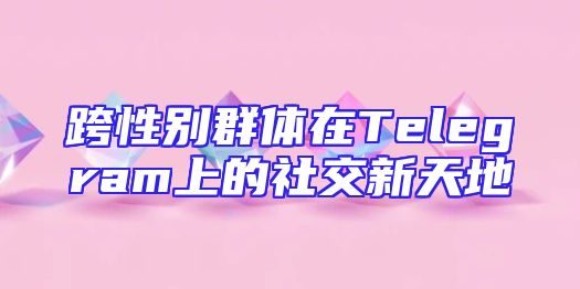 跨性别群体在Telegram上的社交新天地