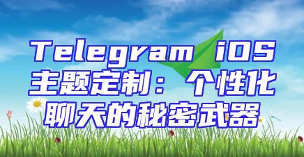 Telegram iOS主题定制：个性化聊天的秘密武器