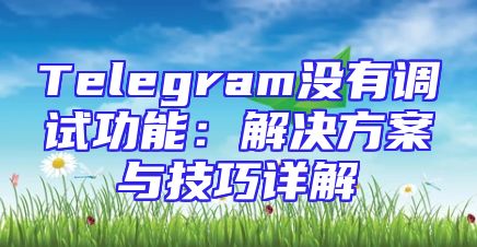 Telegram没有调试功能：解决方案与技巧详解