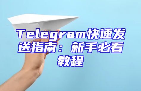 Telegram快速发送指南：新手必看教程