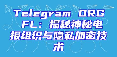 Telegram ORG FL：揭秘神秘电报组织与隐私加密技术
