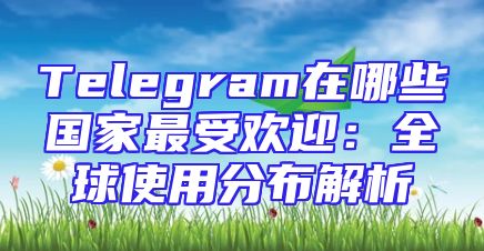 Telegram在哪些国家最受欢迎：全球使用分布解析