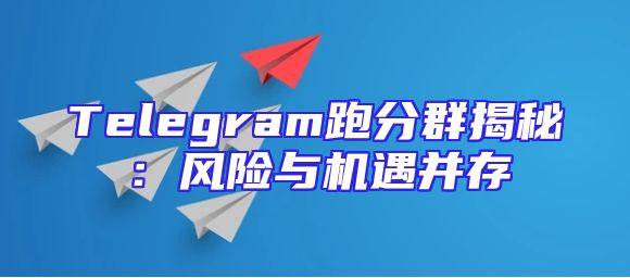 Telegram跑分群揭秘：风险与机遇并存