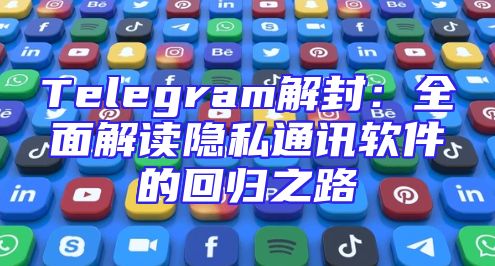 Telegram解封：全面解读隐私通讯软件的回归之路